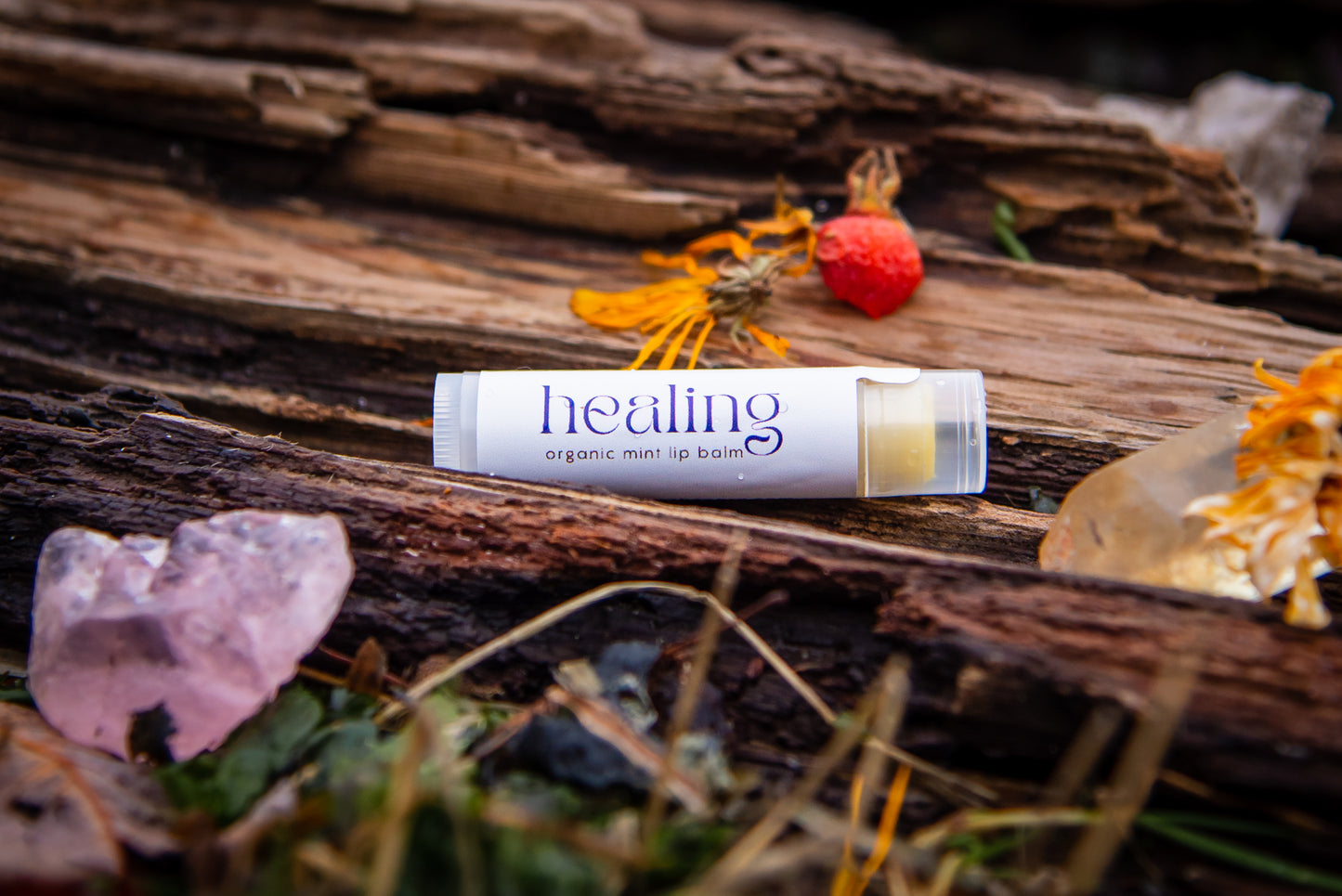 healing organic mint lip balm