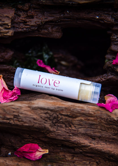 Sold Out —  SPRING EQUINOX |  Local Love Bundle 2026