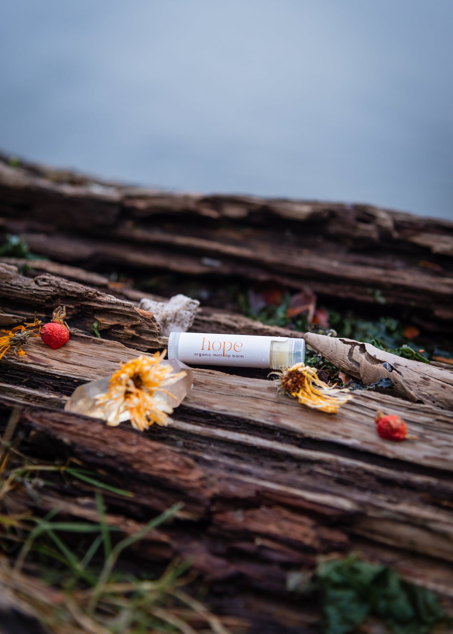HOPE Organic Mint Lip Balm
