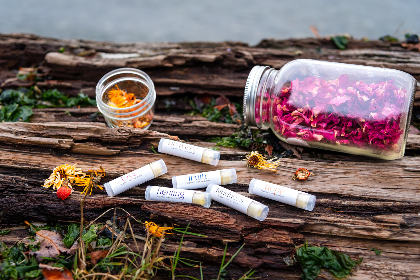 Sold Out —  SPRING EQUINOX                     Local Love Bundle 2026